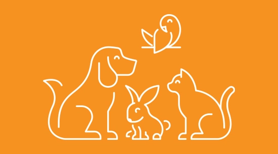 Icons of dog, rabbit, cat, bird, used in checklist
